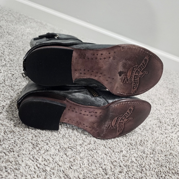 Freebird Ravi - Picture 9 of 11